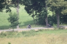Motorräder_1