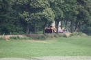 Klasse 3