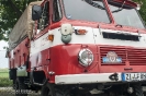 Nutzfahrzeuge_80