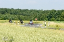 Motorräder_56